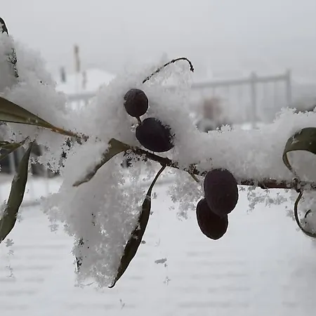 Grand 6 Personnes, Surf, Et Randonnees Lägenhet *