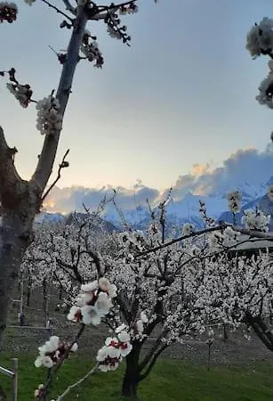 Grand 6 Personnes, Surf, Et Randonnees Lägenhet *