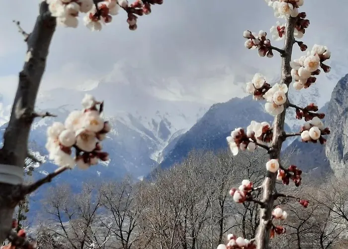 Grand 6 Personnes, Surf, Et Randonnees