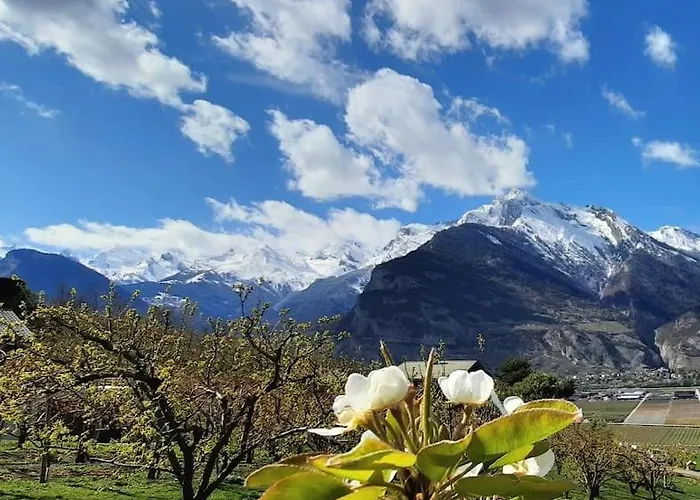 Grand 6 Personnes, Surf, Et Randonnees Apartment